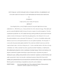 Detection of Ancient Genome Duplications in Several Flowering Plant