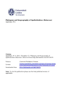 Chapter 4 Cneorum (Rutaceae) in Cuba? Te Solution to a 150 Year Old