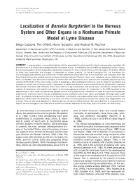 Localization of Borrelia Burgdorferi in the Nervous System And