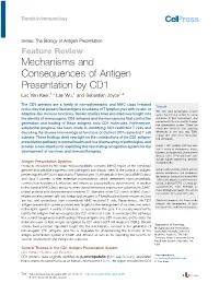 Mechanisms and Consequences of Antigen Presentation By