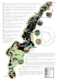 Tc Walks Leaflet D3 (With 30 Years Logo)