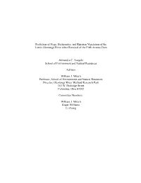 Naegele Thesis Final