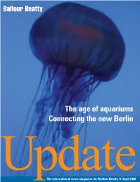 Update 6/4/05