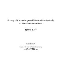 MBB Report 2008