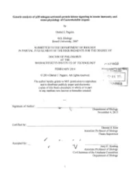 "ARIES Copies of This Thesis Document in Whole Or in Part in Any Medium Now Known Or Hereafter Created