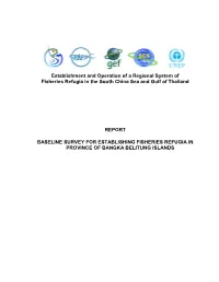 Baseline Survey Report 11 Nov2020.Pdf