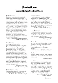 Illuminations: Ideas and Insights from Practitioners