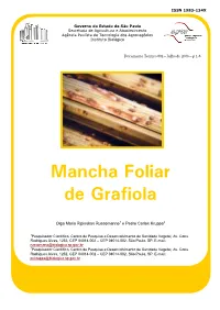 Mancha Foliar De Grafiola