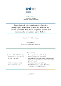 Assessing Soil Micro-Eukaryotic Diversity Using High-Throughput Amplicons Sequencing: Spatial Patterns from Local to Global Scal