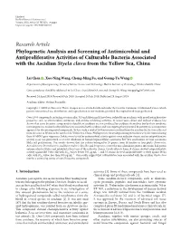 Phylogenetic Analysis and Screening of Antimicrobial And