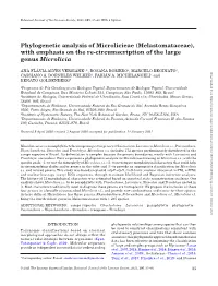 Phylogenetic Analysis of Microlicieae (Melastomataceae), with Emphasis