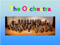 The Orchestra What Does an Orchestra Play?