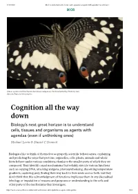 Cognition All the Way Down