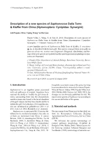 Description of a New Species of Saphonecrus Dalla Torre & Kieffer from China (Hymenoptera: Cynipidae: Synergini)