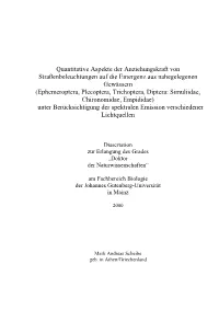 Scheibe 2000