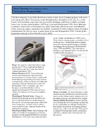 Snow Bunting (Plectrophenax Nivalis) Vulnerability: Presumed Stable Confidence: Moderate