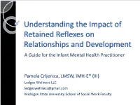 Understanding the Impact of Retained Reflexes on Relationships and Development a Guide for the Infant Mental Health Practitioner