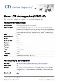 Human UXT Blocking Peptide (CDBP3157) This Product Is for Research Use Only and Is Not Intended for Diagnostic Use