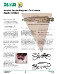 Invasive Species Program—Snakeheads, Aquatic Invaders