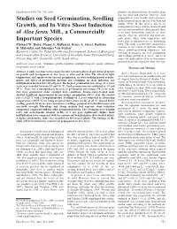 Studies on Seed Germination, Seedling Growth, and in Vitro Shoot