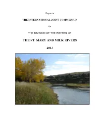 2013 Report to the IJC.Pdf