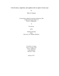 Cache Decisions, Competition, and Cognition in the Fox Squirrel, Sciurus Niger