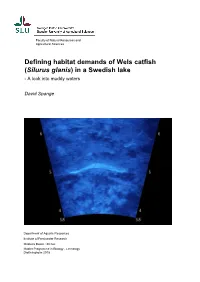 Defining Habitat Demands of Wels Catfish (Silurus Glanis) in a Swedish Lake - a Look Into Muddy Waters
