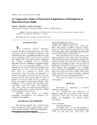 A Comparative Study of Structural Adaptations of Mouthparts in Mantodea from Sindh