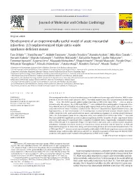 Development of an Experimentally Useful Model of Acute Myocardial Infarction: 2/3 Nephrectomized Triple Nitric Oxide Synthases-Deﬁcient Mouse