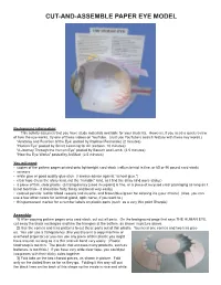 Cut-And-Assemble Paper Eye Model