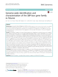 Genome-Wide Identification and Characterization of the SBP-Box