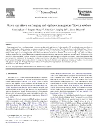 Group Size Effects on Foraging and Vigilance in Migratory Tibetan Antelope