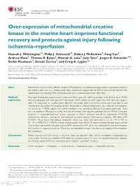 Over-Expression of Mitochondrial Creatine Kinase in the Murine Heart Improves Functional Recovery and Protects Against Injury Following Ischaemia–Reperfusion