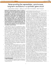 Synchronous Long-Term Oscillations in a Synthetic Gene Circuit