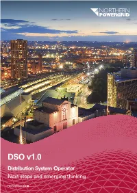 DSO V1.0 Distribution System Operator Next Steps and Emerging Thinking