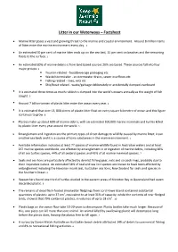 Litter in Our Waterways – Factsheet