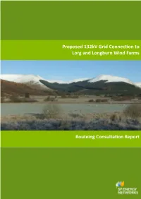 Lorg and Longburn Grid Connection Routeing Consultation Report