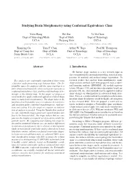Studying Brain Morphometry Using Conformal Equivalence Class
