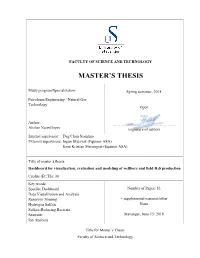 Master's Thesis
