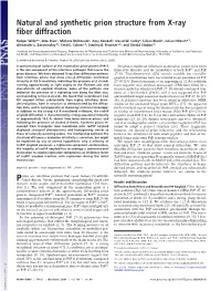 Natural and Synthetic Prion Structure from X-Ray Fiber Diffraction