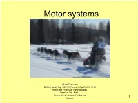 Quadrupedal Motor Systems