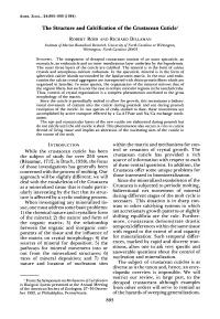 The Structure and Calcification of the Crustacean Cuticle1