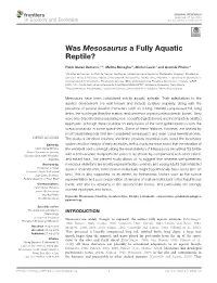 Was Mesosaurus a Fully Aquatic Reptile?