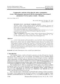 (Acari: Mesostigmata) Associated with Ips Typographus from Natural and Planted Norway Spruce Stands – Romania