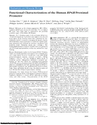 Functional Characterization of the Human RPGR Proximal Promoter