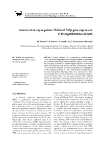 Immune Stress up Regulates TLR4 and Tollip Gene Expression in the Hypothalamus of Ewes