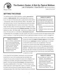 The Eastern Oyster: a Not-So-Typical Mollusc Lab Investigation: Class Bivalvia High School Version Lesson by Kevin Goff