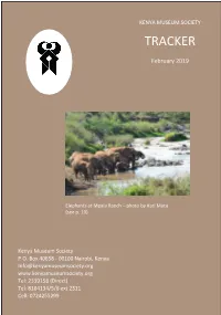 1902 KMS Tracker February 2019.Pdf