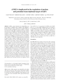 ANRIL Is Implicated in the Regulation of Nucleus and Potential Transcriptional Target of E2F1