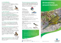 Birdwatching Around Denmark Access Via Ocean Beach Rd